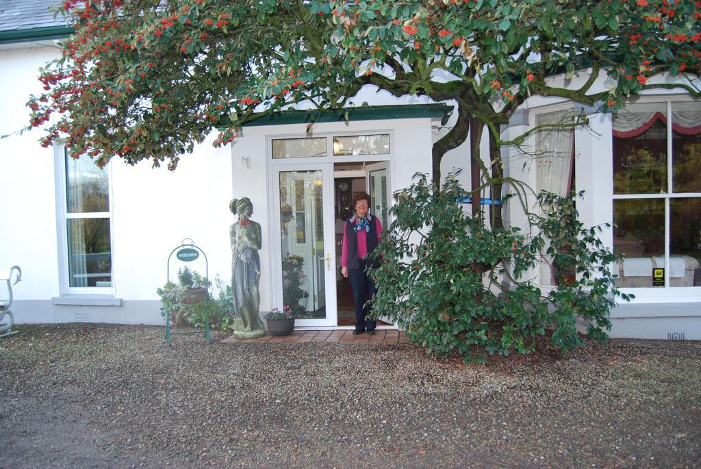 Grange Lodge Country House 邓甘农 外观 照片